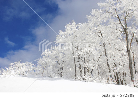 雪景色 572888