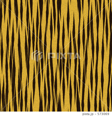 毛皮のテクスチャー　虎 573069