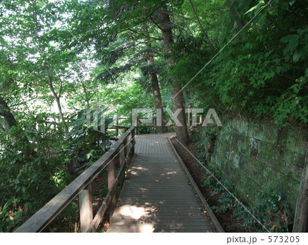 石神井公園 573205