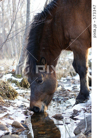 潤す 潤す 573347