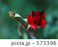 真紅の薔薇　シティ・オブ・バーミンガム 573396