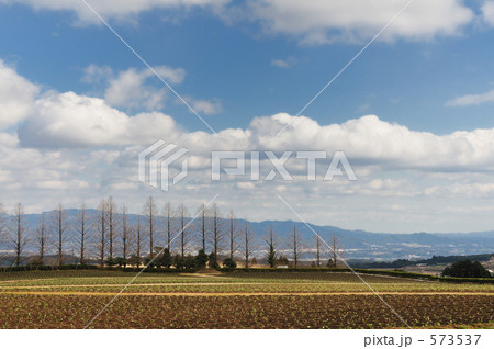 冬の九州山脈を望む 573537