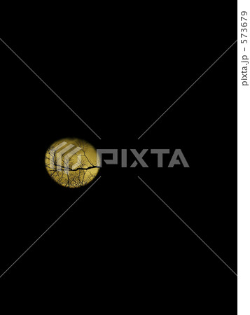 月に描かれた枯れ枝模様 573679