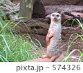 こっち向いて！ 574326