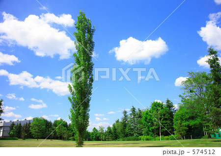 一本木 一本木 574512