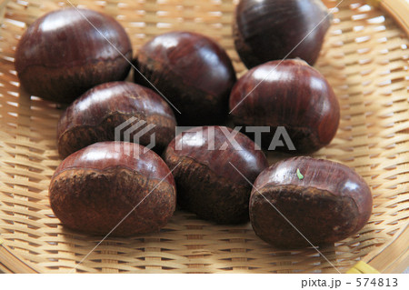 丹波栗 574813