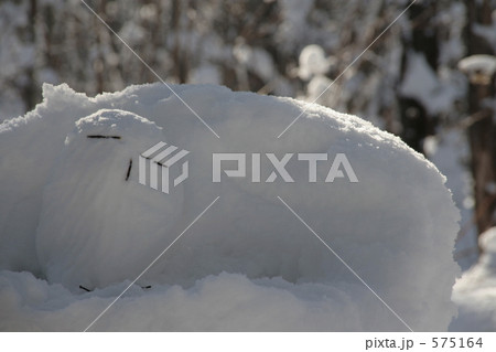 雪の梟と森林 575164