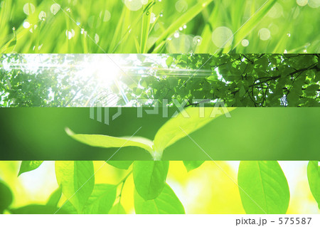 植物イメージ 575587