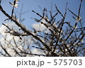 575703