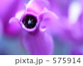 呼吸 575914