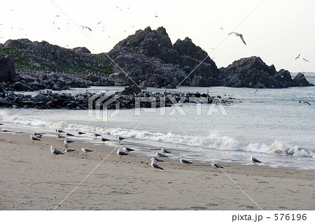八戸・蕪島 576196