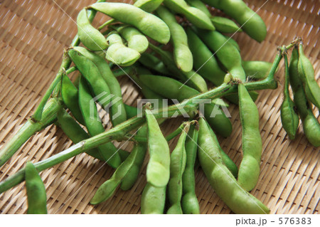 枝豆 枝豆 576383