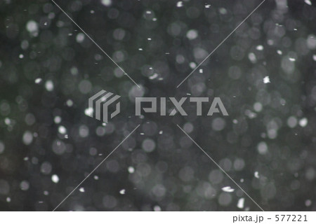 降雪 577221