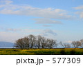 菜の花畑のある風景 577309
