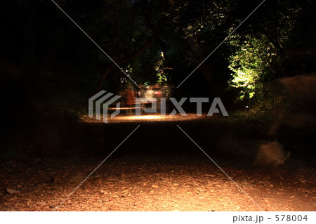 紅葉夜道 紅葉夜道 578004