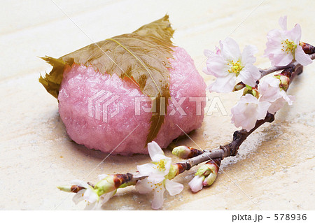 桜餅 578936
