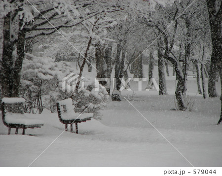 雪の公園 579044