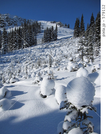 雪景色 雪景色 579112