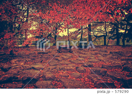 名古屋城の紅葉 名古屋城の紅葉 579290