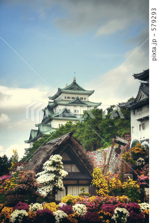 菊祭りの名古屋城の写真素材