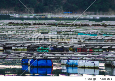 伊勢志摩の牡蛎筏 580363