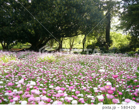 Perth:Hyde Park(ハイドパーク) Perth:Hyde Park(ハイドパーク) 580420