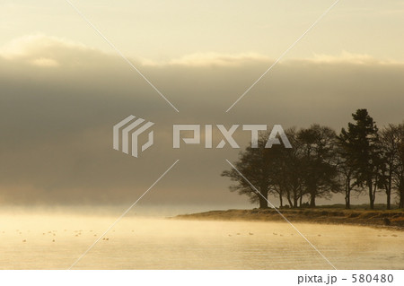 静かな朝 静かな朝 580480