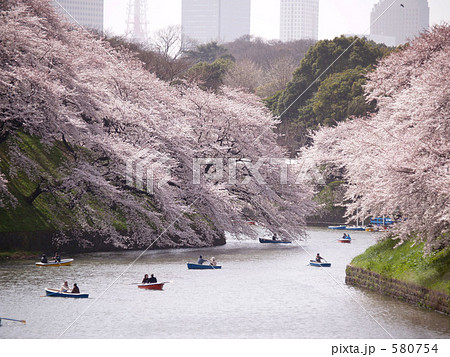 千鳥が淵の桜 千鳥が淵の桜 580754