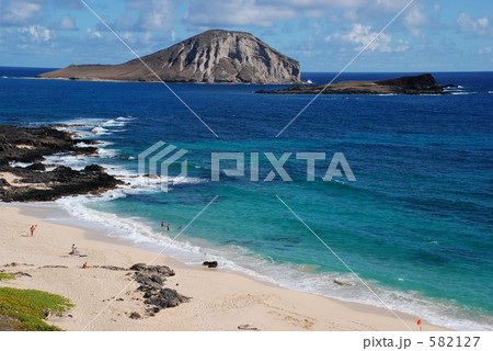 泳ぐウサギ 泳ぐウサギ 582127