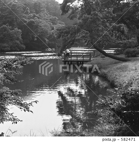 原宿・明治神宮 南池 昭和45年 原宿・明治神宮 南池 昭和45年 582471