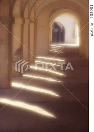 タカレナ0013 582901