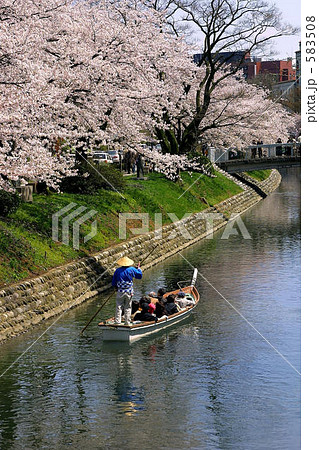 満開の屋形船 満開の屋形船 583508