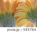 583764
