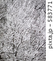 雪の枝 583771