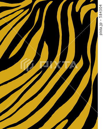 TIGER. Ⅱ 584304