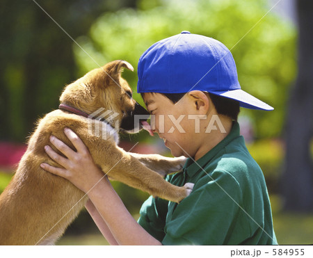 鼻をなめる仔犬 鼻をなめる仔犬 584955