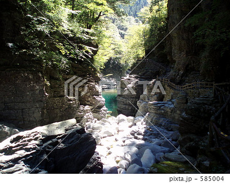 愛媛県の面河系 585004