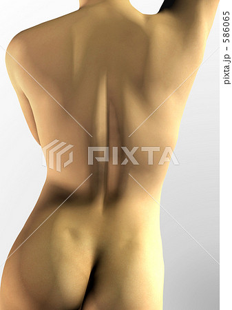 柔らかな女性のライン 586065