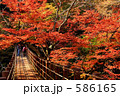 花貫渓谷の紅葉 586165