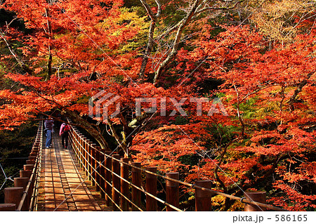 花貫渓谷の紅葉の写真素材
