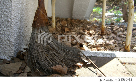 守り神 守り神 586643