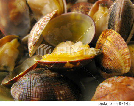 あさりの酒蒸し 587145