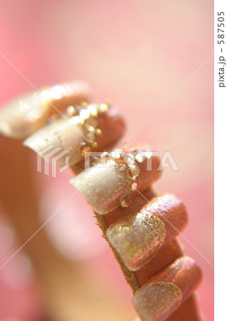 ネイルチップ（ブラウン）１ 587505