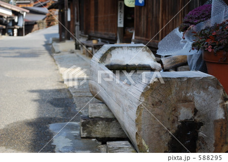 水鉢 588295