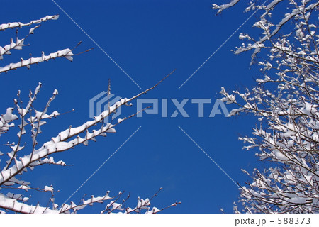 冬の青空 588373