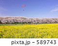 権現堂桜堤 589743