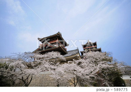 春の伏見桃山城 589775