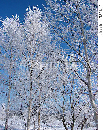 樹氷 589819
