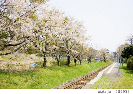 SAKURA Station 589952
