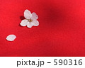 さくら 590316